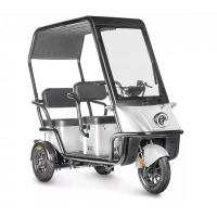 Электротрицикл Wanshida NIPLA 500 60V 1000Вт Черно-белый