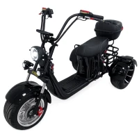 Электротрицикл GT Trike E30 